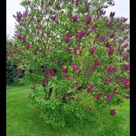 Sliabh-Na-Mban House B&B Bunratty ภายนอก รูปภาพ
